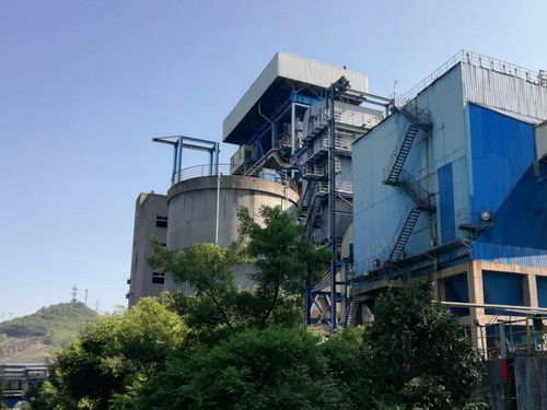如何打造無異味綠色工廠？東方希望涪陵石化交出“東方邁德”答卷